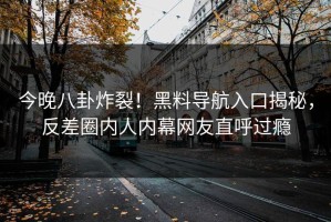 今晚八卦炸裂！黑料导航入口揭秘，反差圈内人内幕网友直呼过瘾