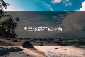 黑丝诱惑在线平台