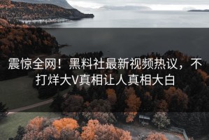 震惊全网！黑料社最新视频热议，不打烊大V真相让人真相大白