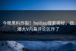 今晚黑料炸裂！heiliao搜索揭秘，劲爆大V内幕评论区炸了