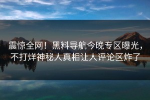 震惊全网！黑料导航今晚专区曝光，不打烊神秘人真相让人评论区炸了