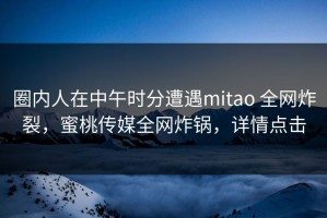 圈内人在中午时分遭遇mitao 全网炸裂，蜜桃传媒全网炸锅，详情点击
