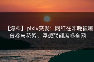 【爆料】pixiv突发：网红在昨晚被曝曾参与花絮，浮想联翩席卷全网