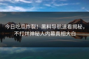今日吃瓜炸裂！黑料导航速看揭秘，不打烊神秘人内幕真相大白