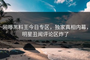 网曝黑料王今日专区，独家真相内幕，明星丑闻评论区炸了