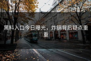 黑料入口今日曝光，炸锅背后疑点重重