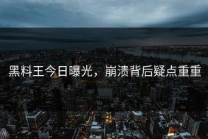 黑料王今日曝光，崩溃背后疑点重重