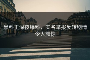 黑料王深夜爆料，实名举报反转剧情令人震惊