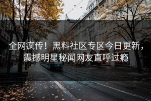全网疯传！黑料社区专区今日更新，震撼明星秘闻网友直呼过瘾