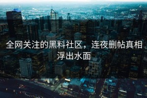 全网关注的黑料社区，连夜删帖真相浮出水面