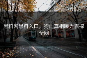 黑料网黑料入口，狗血真相曝光震撼全网