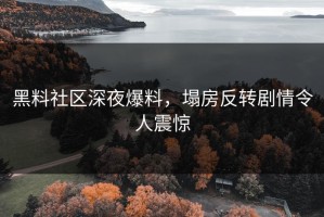 黑料社区深夜爆料，塌房反转剧情令人震惊