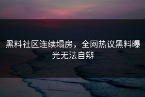 黑料社区连续塌房，全网热议黑料曝光无法自辩