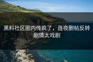 黑料社区圈内传疯了，连夜删帖反转剧情太戏剧
