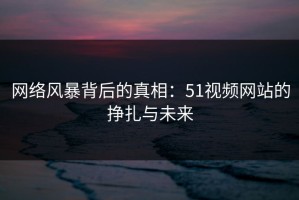 网络风暴背后的真相：51视频网站的挣扎与未来