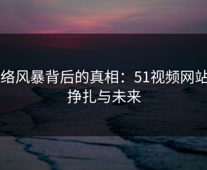 网络风暴背后的真相：51视频网站的挣扎与未来