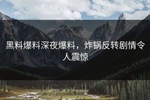 黑料爆料深夜爆料，炸锅反转剧情令人震惊