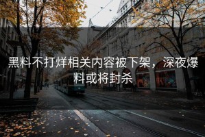 黑料不打烊相关内容被下架，深夜爆料或将封杀