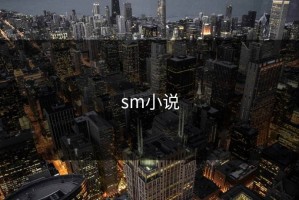 sm小说