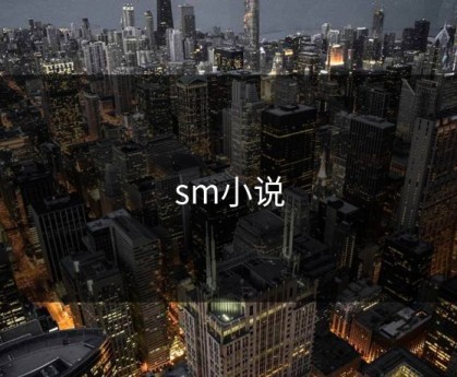 sm小说