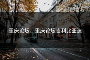 重庆论坛，重庆论坛吉利比亚迪