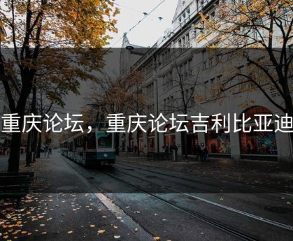 重庆论坛，重庆论坛吉利比亚迪