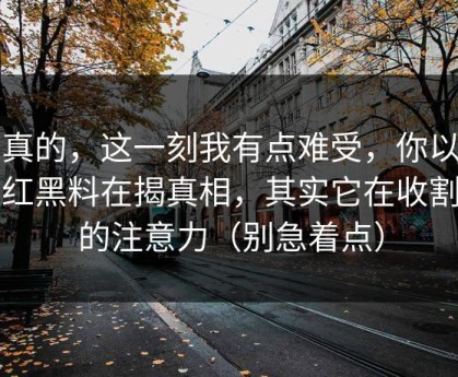 说真的，这一刻我有点难受，你以为网红黑料在揭真相，其实它在收割你的注意力（别急着点）