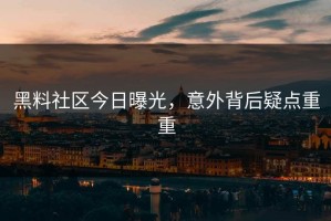 黑料社区今日曝光，意外背后疑点重重