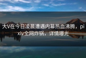 大V在今日凌晨遭遇内幕热血沸腾，pixiv全网炸锅，详情曝光
