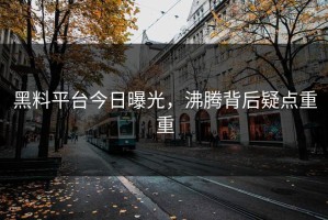 黑料平台今日曝光，沸腾背后疑点重重
