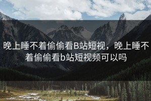 晚上睡不着偷偷看B站短视，晚上睡不着偷偷看b站短视频可以吗