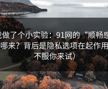 我做了个小实验：91网的“顺畅感”从哪来？背后是隐私选项在起作用（不服你来试）