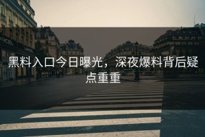 黑料入口今日曝光，深夜爆料背后疑点重重