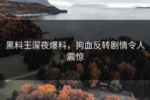 黑料王深夜爆料，狗血反转剧情令人震惊