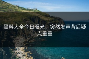 黑料大全今日曝光，突然发声背后疑点重重