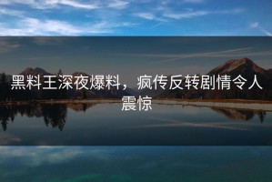 黑料王深夜爆料，疯传反转剧情令人震惊