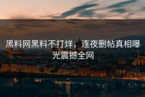 黑料网黑料不打烊，连夜删帖真相曝光震撼全网