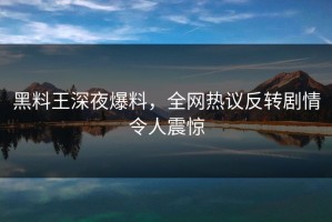 黑料王深夜爆料，全网热议反转剧情令人震惊