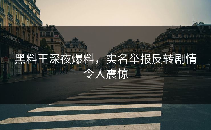 黑料王深夜爆料，实名举报反转剧情令人震惊