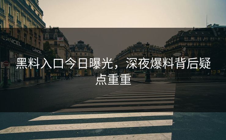 黑料入口今日曝光，深夜爆料背后疑点重重