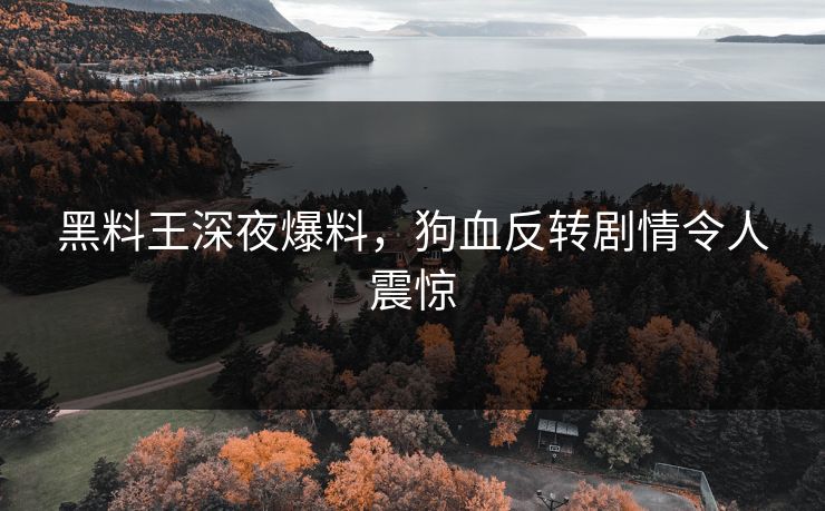 黑料王深夜爆料，狗血反转剧情令人震惊