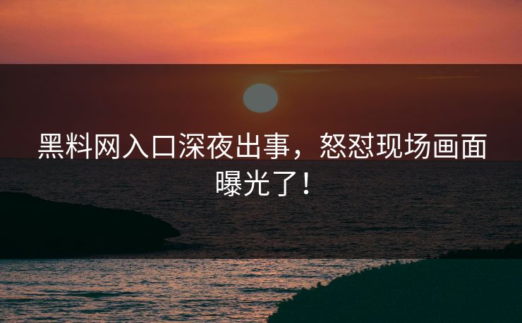 黑料网入口深夜出事，怒怼现场画面曝光了！
