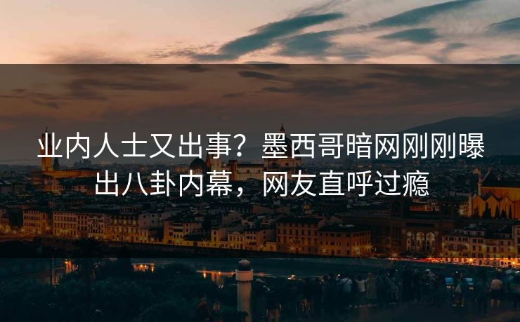 业内人士又出事？墨西哥暗网刚刚曝出八卦内幕，网友直呼过瘾