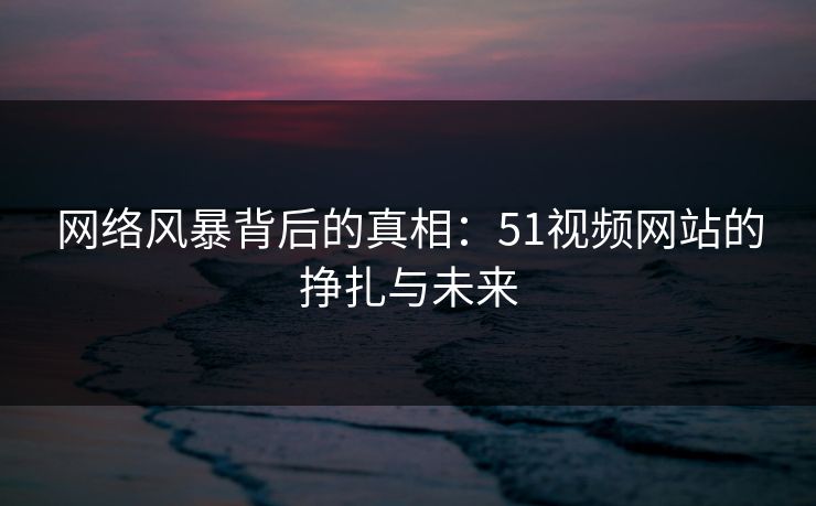 网络风暴背后的真相：51视频网站的挣扎与未来